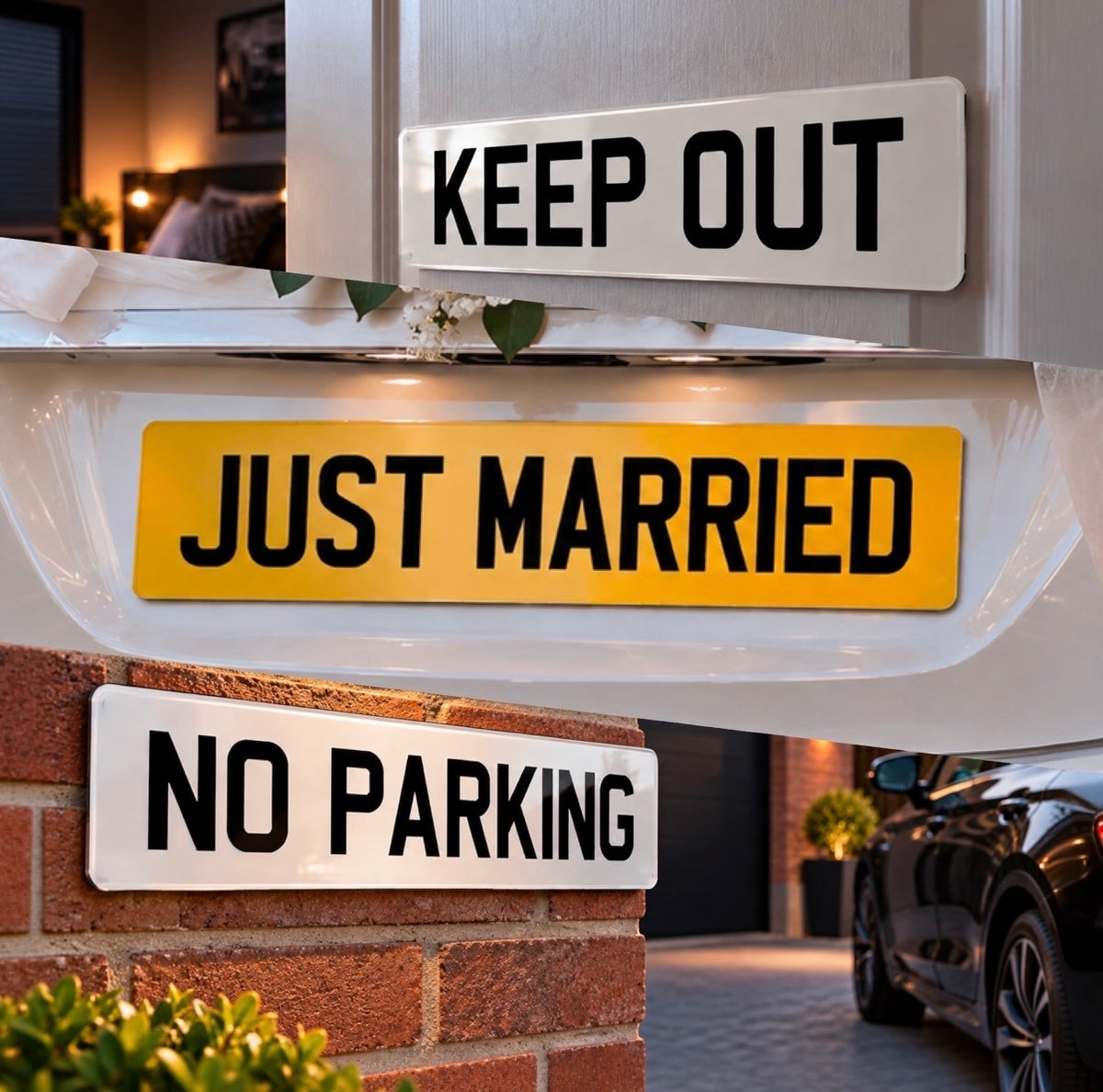 SHOW PLATES